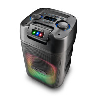ALTAVOZ NGS INALAMBRICO 80W WILDCLUB BLUETOOTH 5