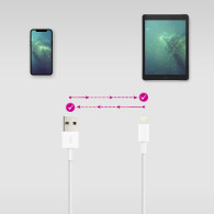 CABLE LIGHTNING A USB 2.0 LIGHTNING-USB A M 50 CM 10.10.0400
