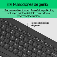 TECLADO HP RATON 330 KIT INALAMBRICO 2V9E6AA