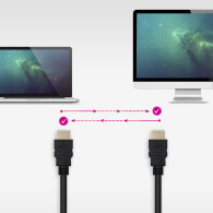 CABLE HDMI V1.4 ALTA VELOCIDAD HEC A M-A M 10M NANOCABLE 10.15.1710