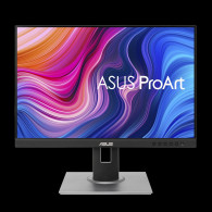 MONITOR 24 ASUS PROART PA248QV WQHD IPS 5MS HDMI DVI-D DP MINI DP MM NEGRO
