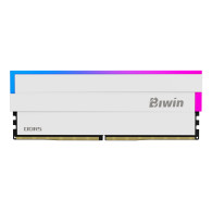 Biwin DW100 DDR5 UDIMM 6000MHz 32G(16G*2) CL30 RGB
