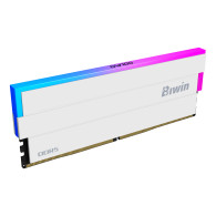 Biwin DW100 DDR5 6000 64GB CL30 (32*2) White RGB